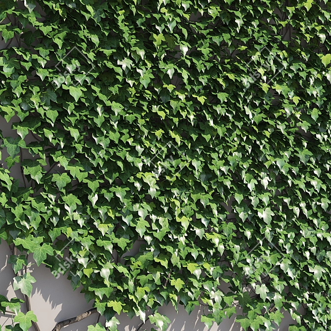 Polys Ivy Green Wall - 4000 mm 3D model image 3