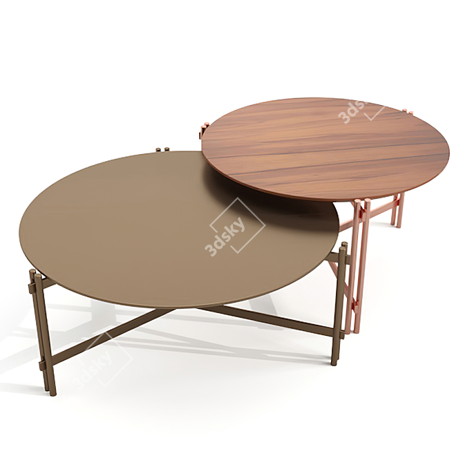 Modern Elegance: Ciranda Coffee Table 3D model image 1