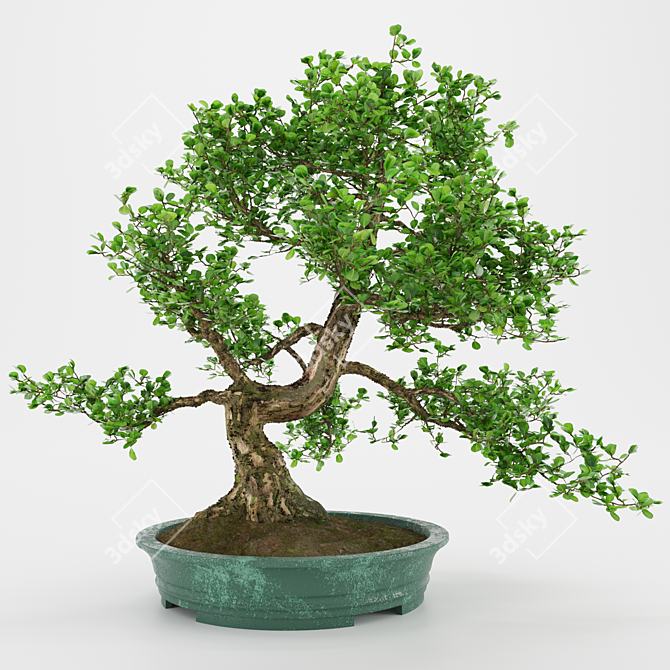 Artificial Bonsai Tree: Detailed, Textured 3D model image 1