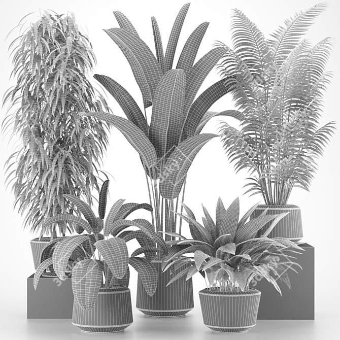 Tropical Indoor Plants Collection 3D model image 2