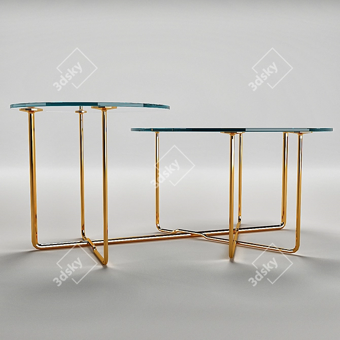 Elegant Gallotti & Radice Connection Coffee Table 3D model image 2