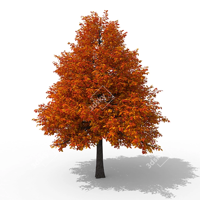 Forest Majesty 3D Tree 3D model image 1