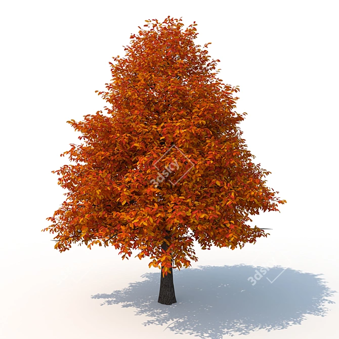 Forest Majesty 3D Tree 3D model image 5