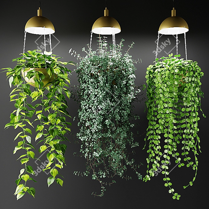 Luminous Hanging Plants in Chic Cache-Pot 3D model image 1