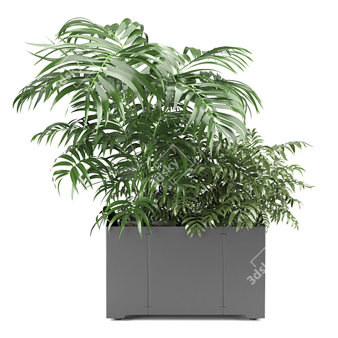 Tropical Oasis: Palm Tree in Pot 3D model image 2