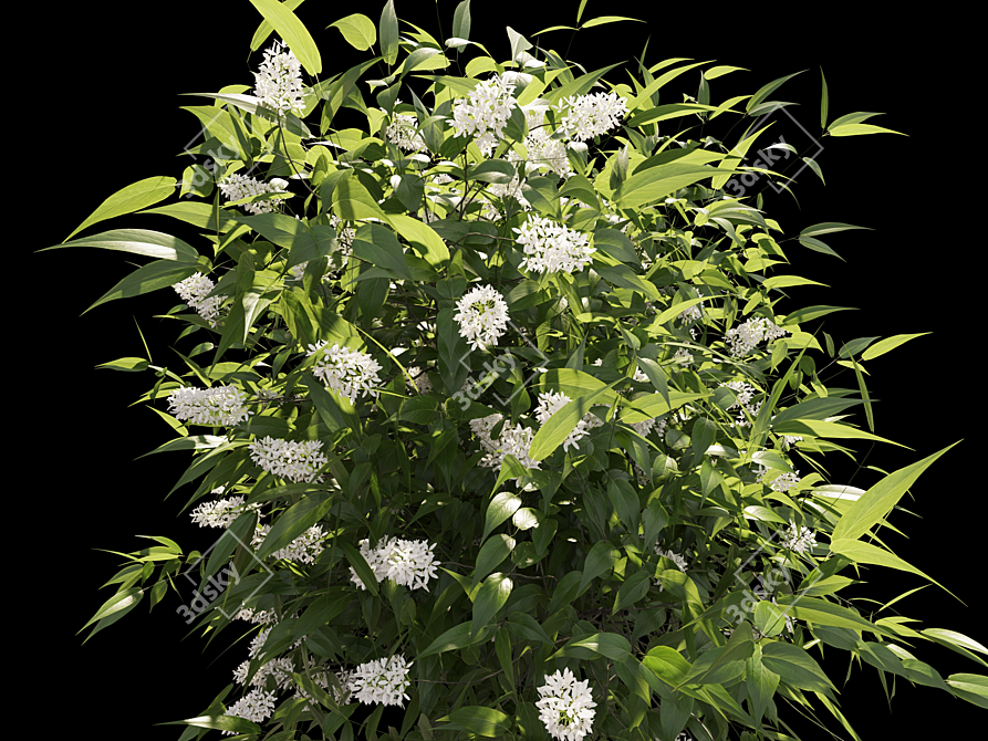 Spring Blossom Lilac Delight 3D model image 2