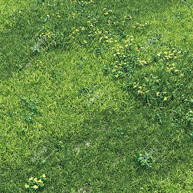 Green Paradise Grass England Garden 3D model image 1