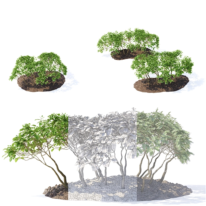 Hornbeam Topiary Shrubs | 3D Model Showcase 3D model image 2