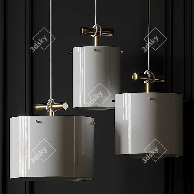 Castor Fresnel Pendant: Modern Illumination 3D model image 2