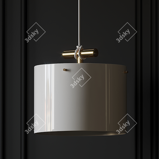 Castor Fresnel Pendant: Modern Illumination 3D model image 3