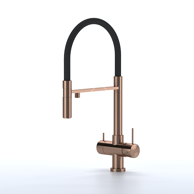 Omoikiri Kanto PVD-LG Kitchen Tap 3D model image 1