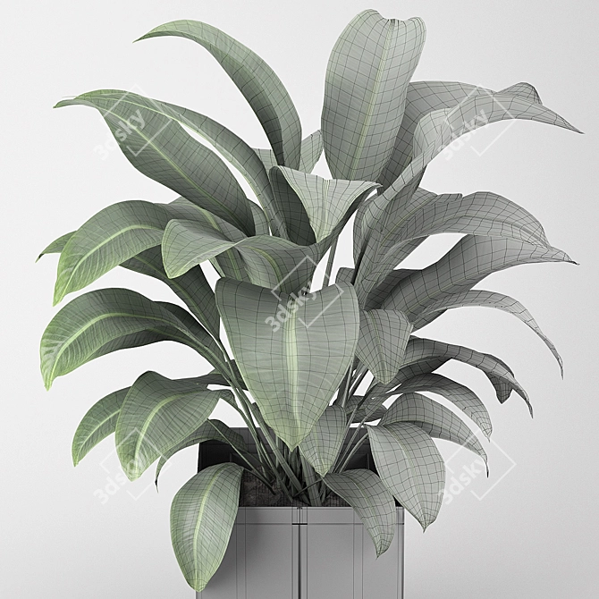 Introducing: Potted Plant from the CAPE Collection 3D model image 2
