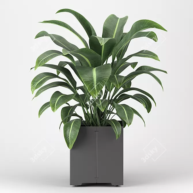 Introducing: Potted Plant from the CAPE Collection 3D model image 3