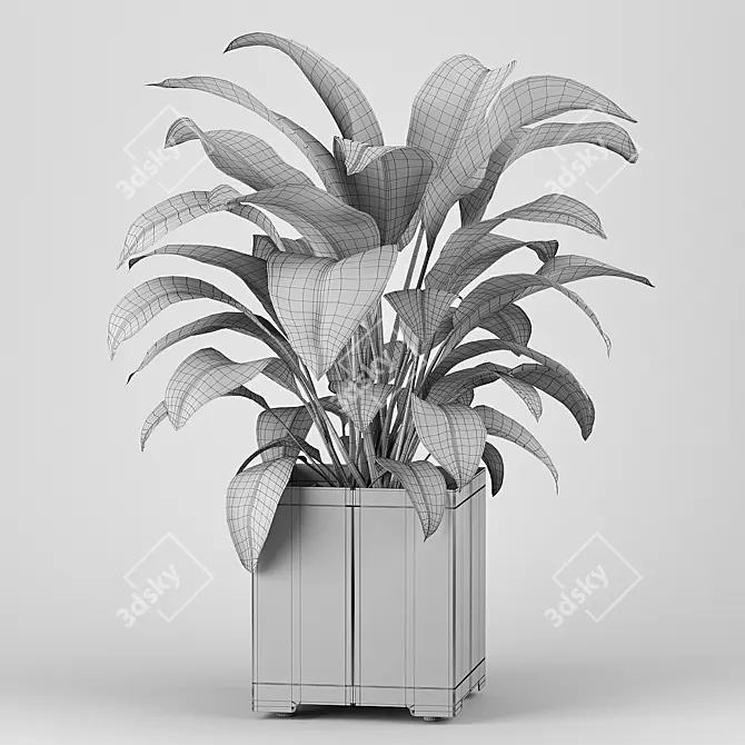 Introducing: Potted Plant from the CAPE Collection 3D model image 5
