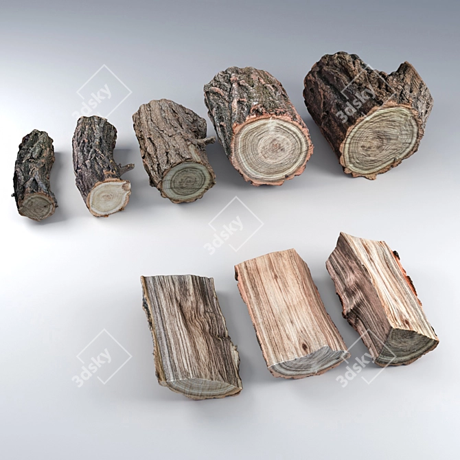 Rustic Locust Tree Wood: 5 Stumps & 3 Split Pieces 3D model image 4