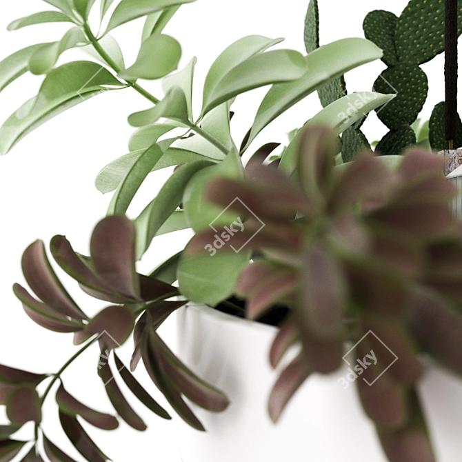 Eco Oasis: Plants Set 3D model image 5