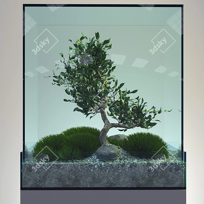 Elegant Bonsai Tree - Perfect for V-Ray! 3D model image 1