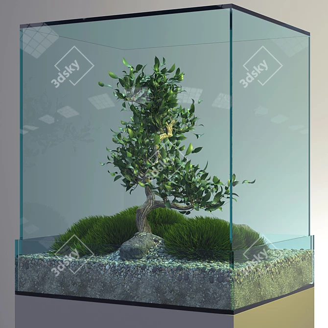 Elegant Bonsai Tree - Perfect for V-Ray! 3D model image 2