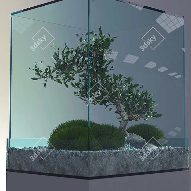 Elegant Bonsai Tree - Perfect for V-Ray! 3D model image 3