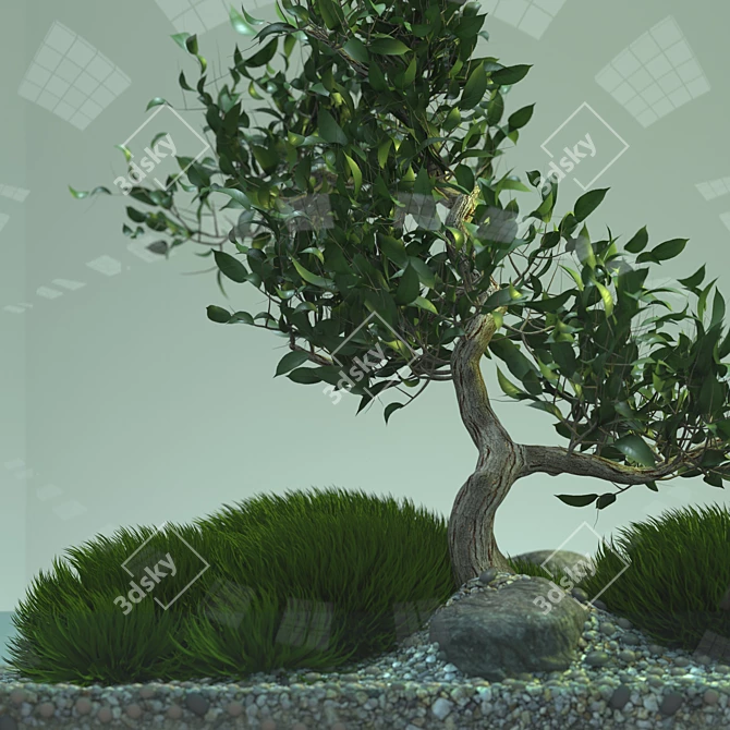 Elegant Bonsai Tree - Perfect for V-Ray! 3D model image 4