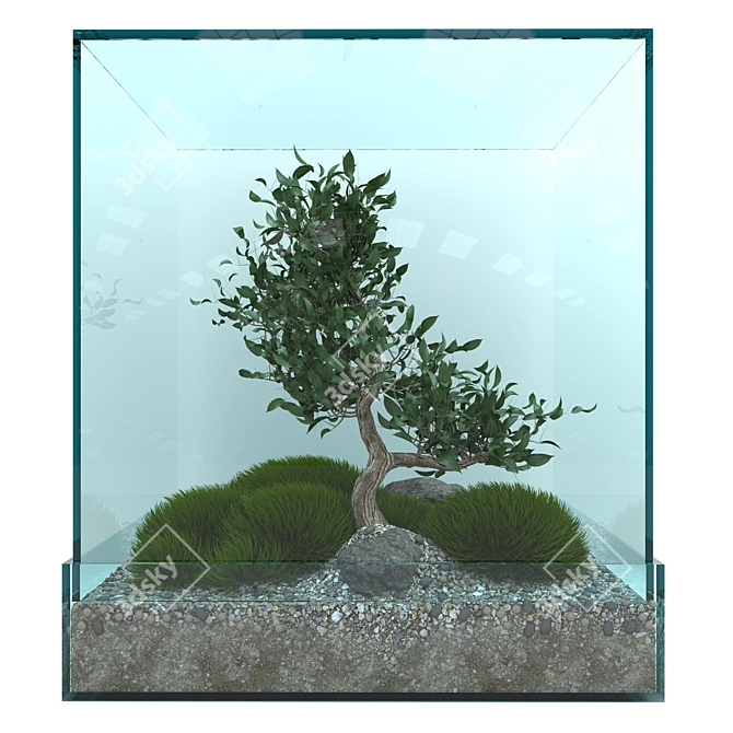 Elegant Bonsai Tree - Perfect for V-Ray! 3D model image 6