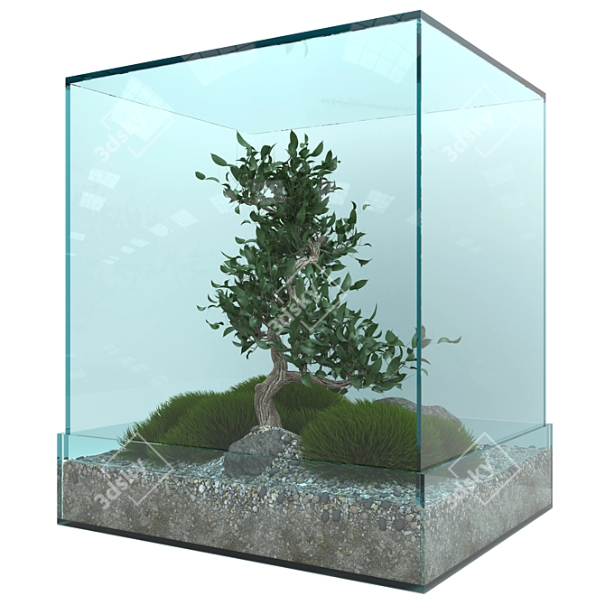 Elegant Bonsai Tree - Perfect for V-Ray! 3D model image 7