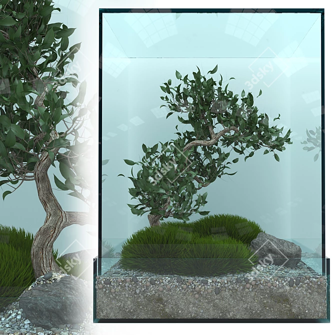 Elegant Bonsai Tree - Perfect for V-Ray! 3D model image 8