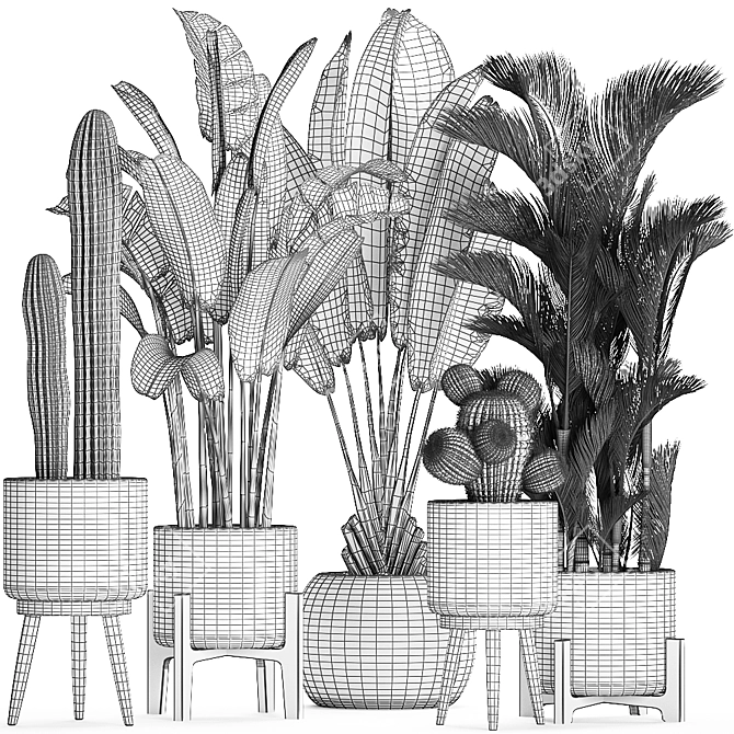 Exotic Plant Collection: Cacti & Palms 3D model image 5