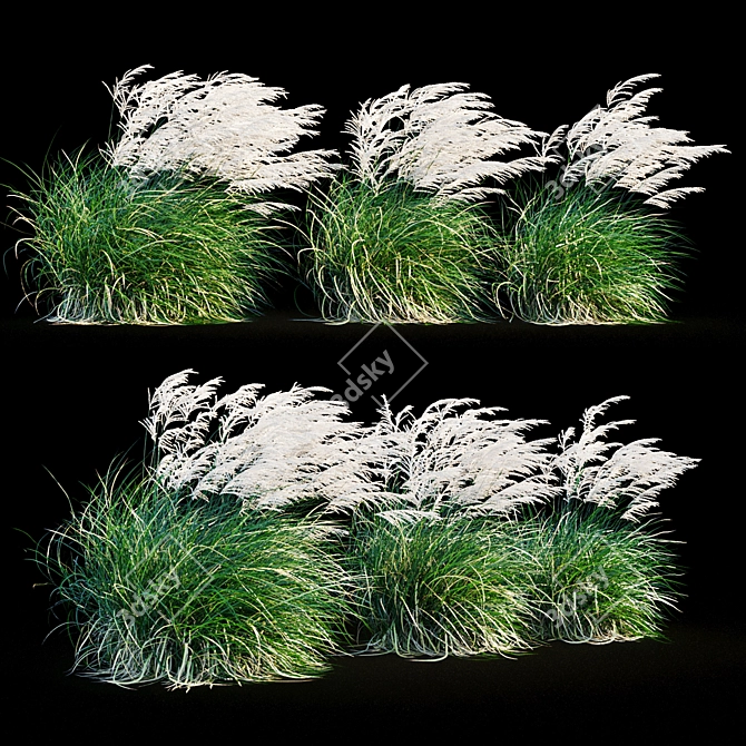 Elegant Wind-Swept Miscanthus 3D model image 9