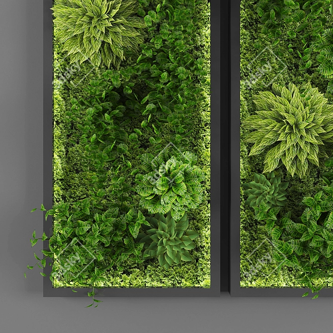 EcoWall Vertical Garden Kit 3D model image 2