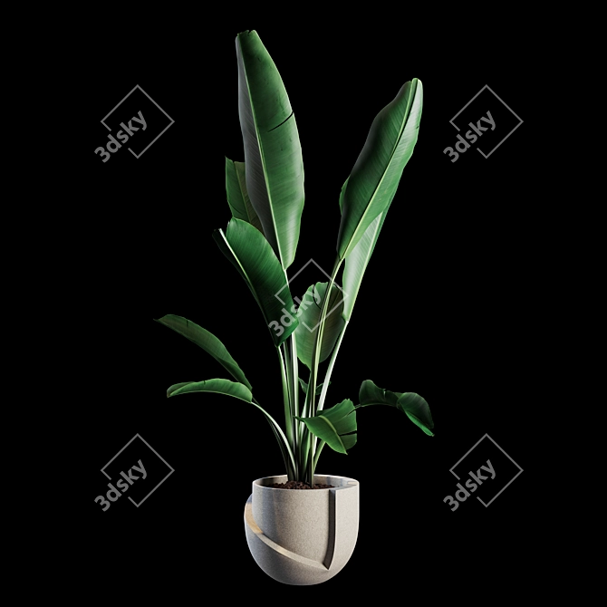 Green Oasis: Indoor Plant Collection 3D model image 2