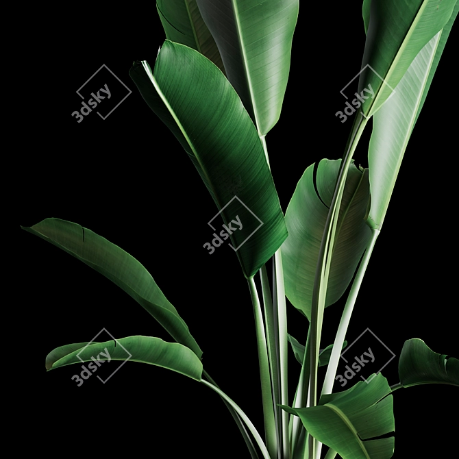 Green Oasis: Indoor Plant Collection 3D model image 4