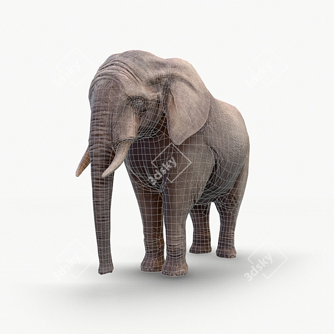 Realistic Elephant Figure 3D model image 5