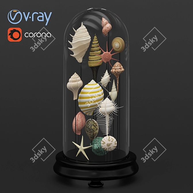 Seashell Sculpture 3D model image 1