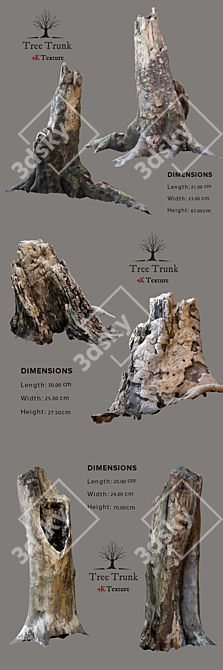 Realistic Tree Trunk 3D Model 3D model image 2