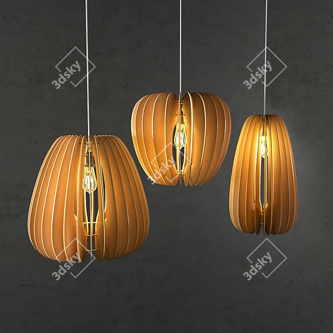 Rustic Wood Pendant Light 3D model image 2