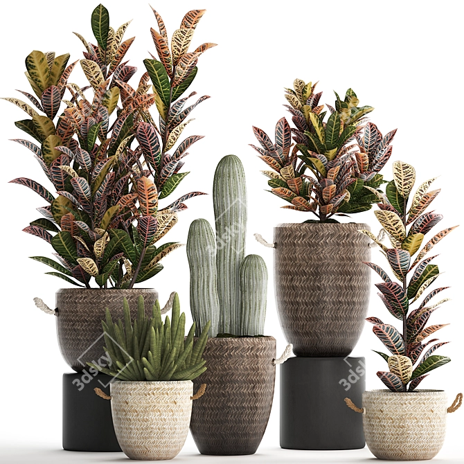 Exotic Houseplant Collection 3D model image 1