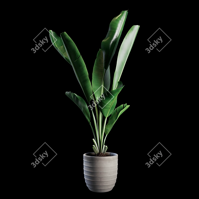 Green Oasis Indoor Plants Set 3D model image 1