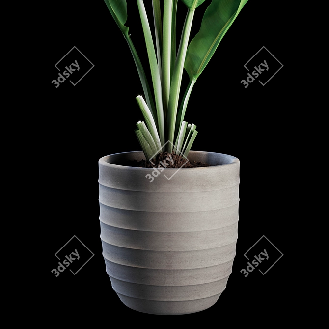 Green Oasis Indoor Plants Set 3D model image 2