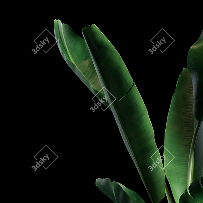 Green Oasis Indoor Plants Set 3D model image 3