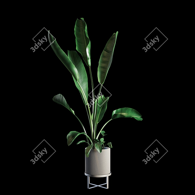 Green Oasis Indoor Plant Set 3D model image 1