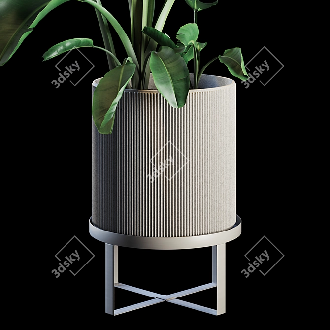 Green Oasis Indoor Plant Set 3D model image 2
