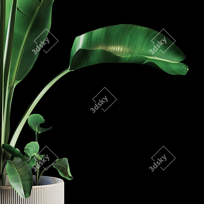 Green Oasis Indoor Plant Set 3D model image 4