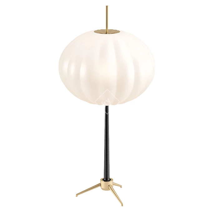 Elegant Modern Table Lamp 3D model image 1