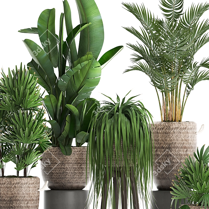 Tropical Oasis Plant Collection 3D model image 3