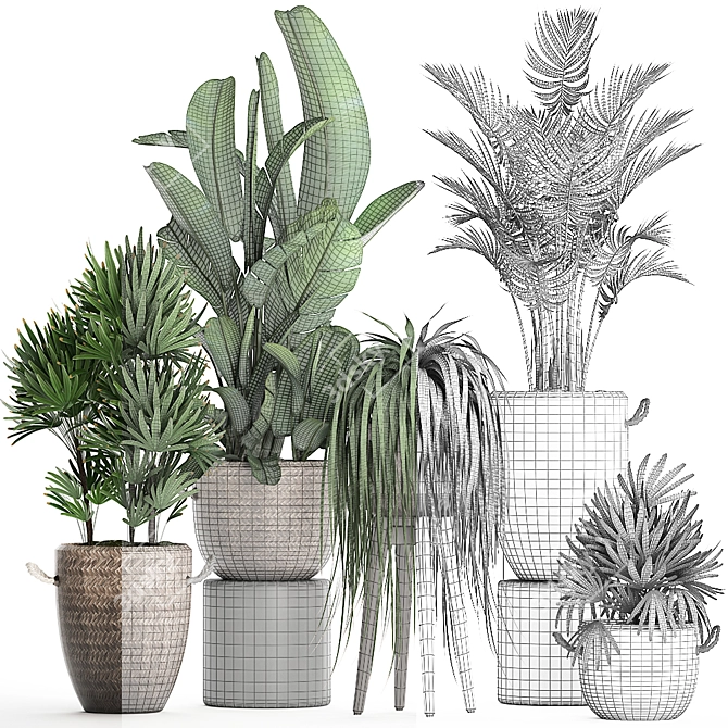 Tropical Oasis Plant Collection 3D model image 5