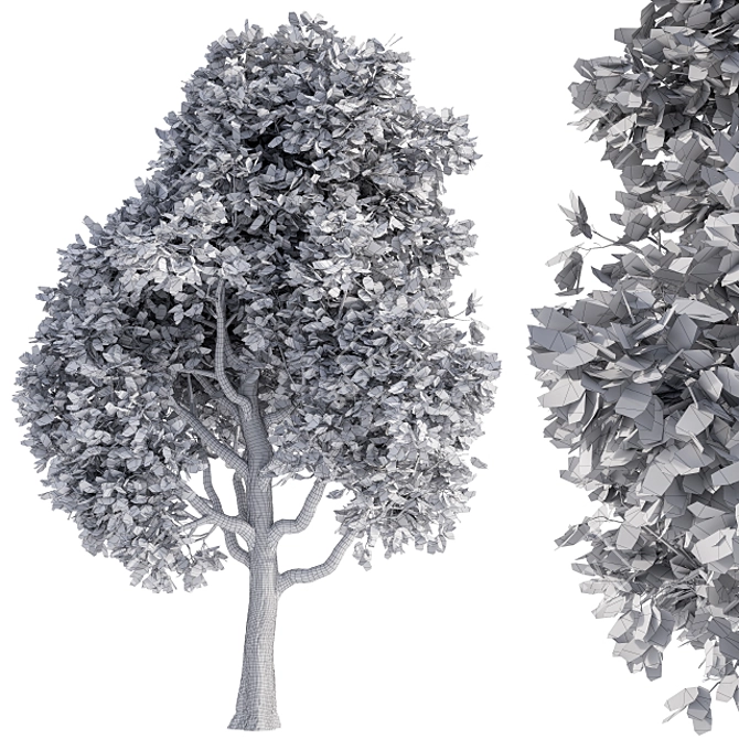 Elegant Japanese Tree Green 3D model image 2