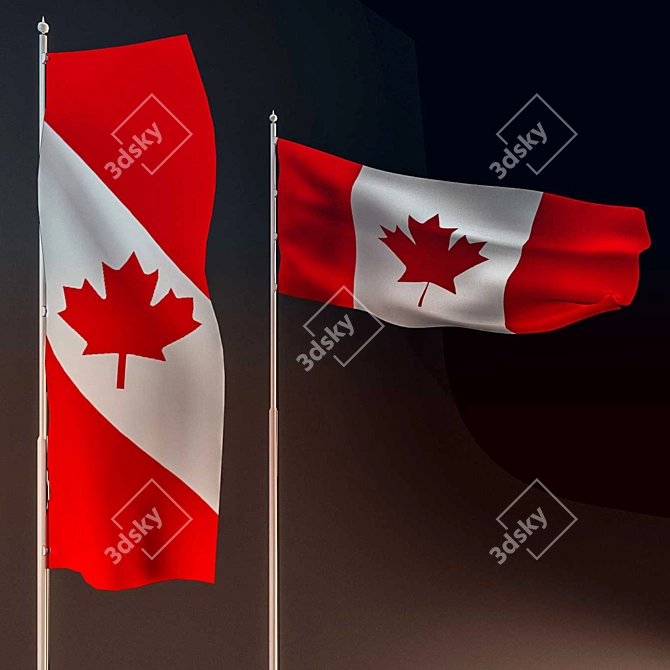 Dynamic Low Poly Animated Flag 3D model image 1