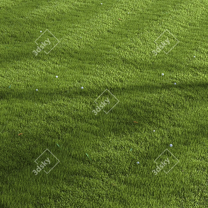 Lush Ryegrass Lawn Set: Realistic 3D Grass & Objects 3D model image 2