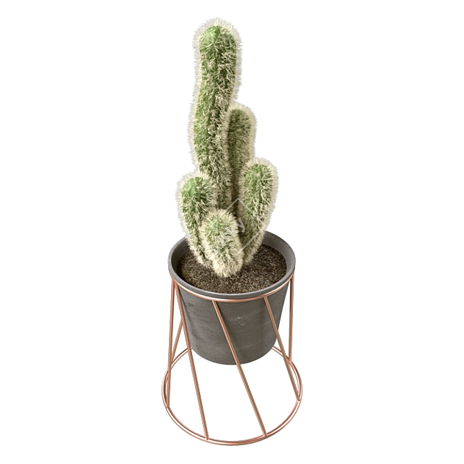  Prickly Beauties: Cactus Deco 3D model image 1